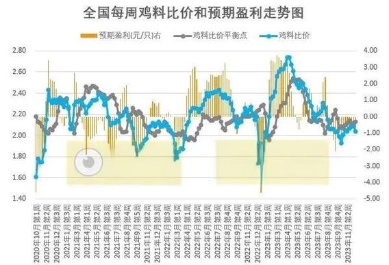果园鸡养殖技术如何提升收益？-图3
