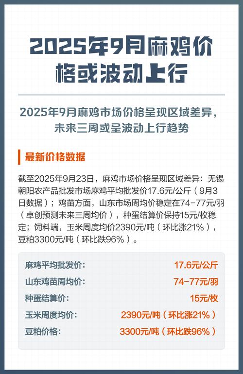 2025鸡苗价格行情会涨还是跌？-图3