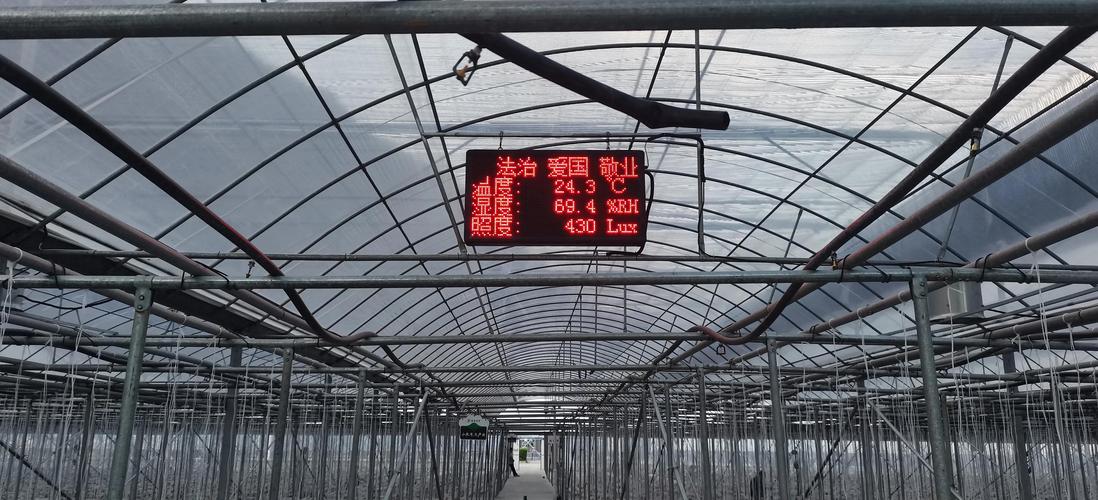 阴天温室辣椒管理技术-图1