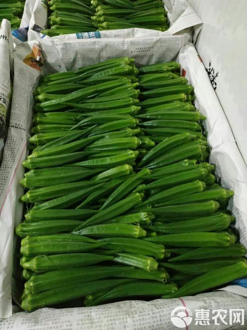 黄秋葵有几个品种图片-图2