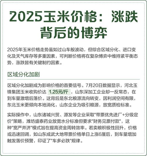 2025淄博玉米价格会涨还是跌？-图1