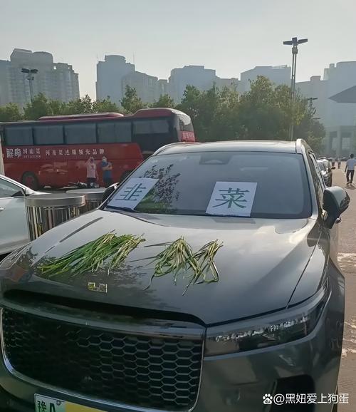 山西太原韭菜今日价格-图3