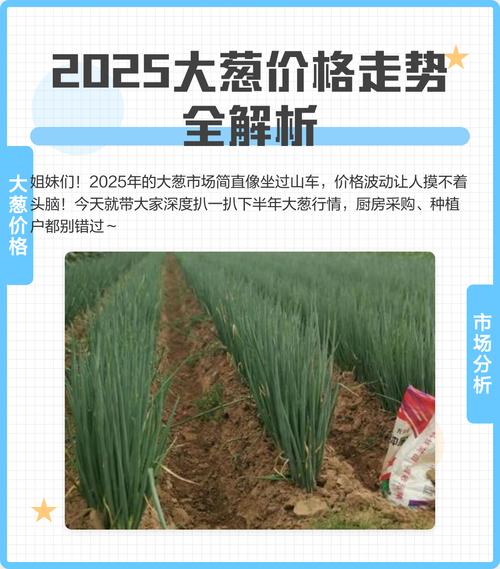 北京大葱价格近期走势如何？-图2