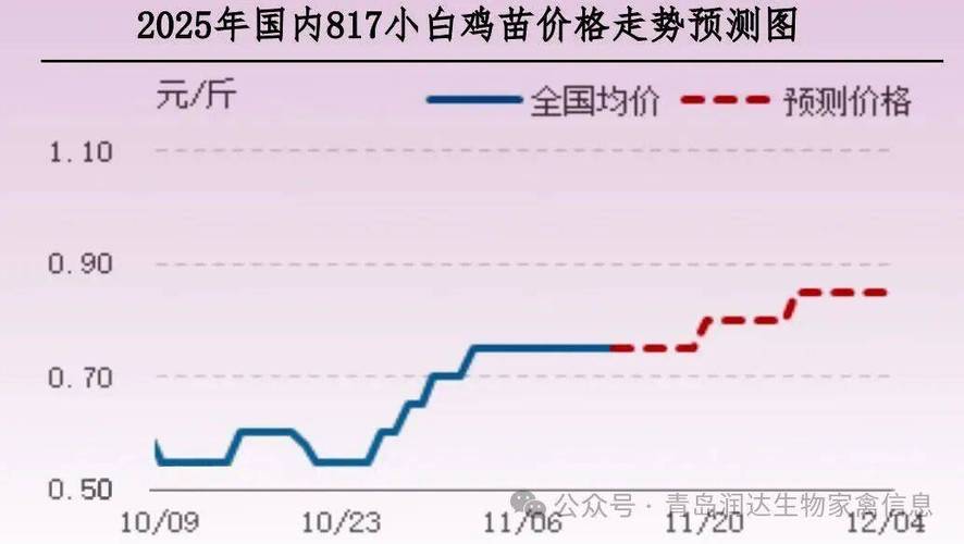 宁夏今日肉鸡价格行情-图2