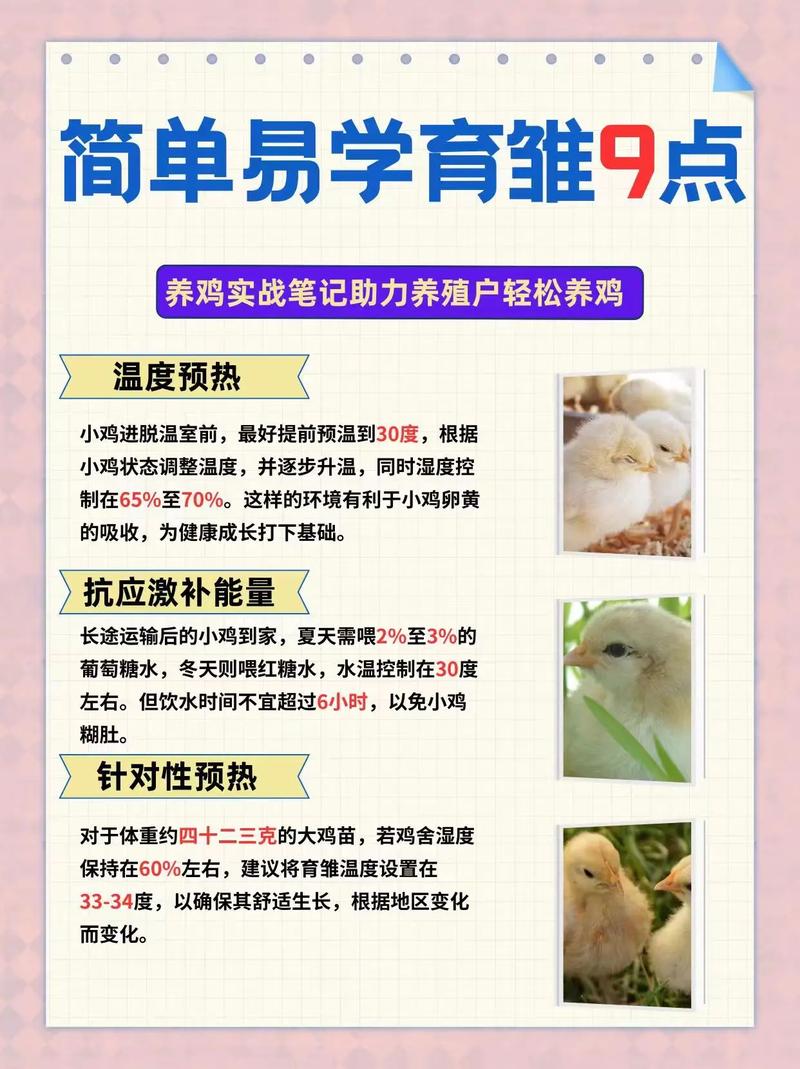 免费学养鸡技术，靠谱吗？-图3