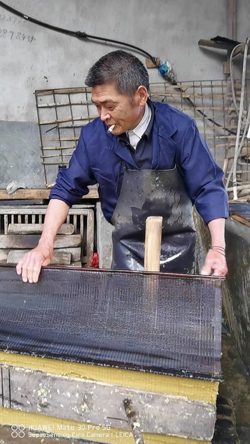 造纸的竹子是什么品种-图1