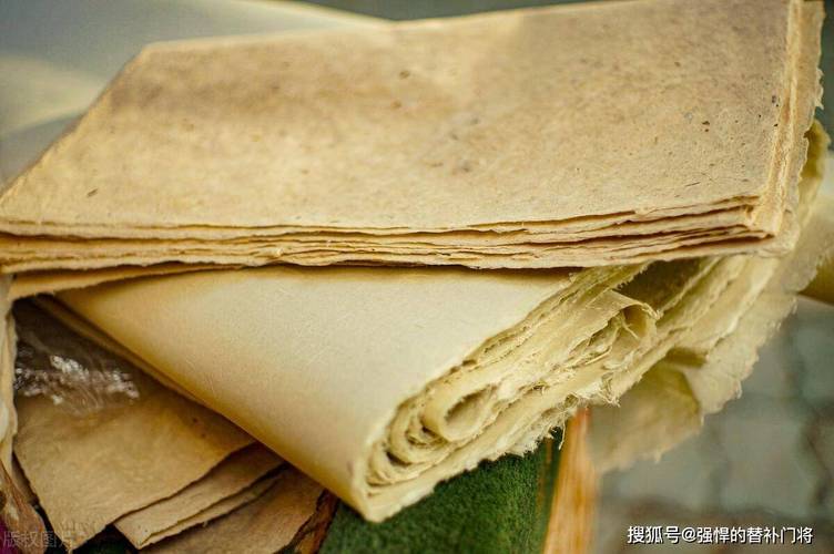 造纸的竹子是什么品种-图2