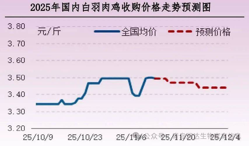 湖北今日肉鸡价格行情怎么样？-图2