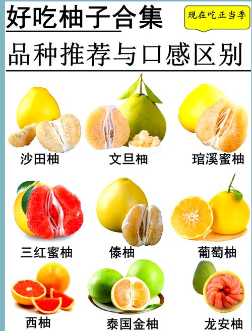 不同柚子品种几月成熟？-图2