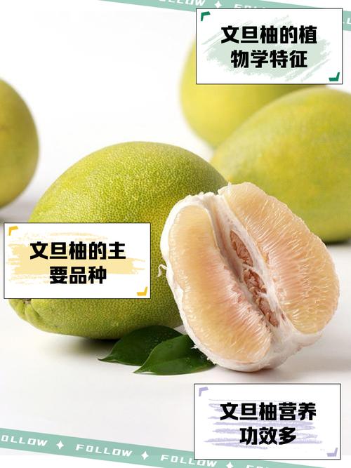 不同柚子品种几月成熟？-图3