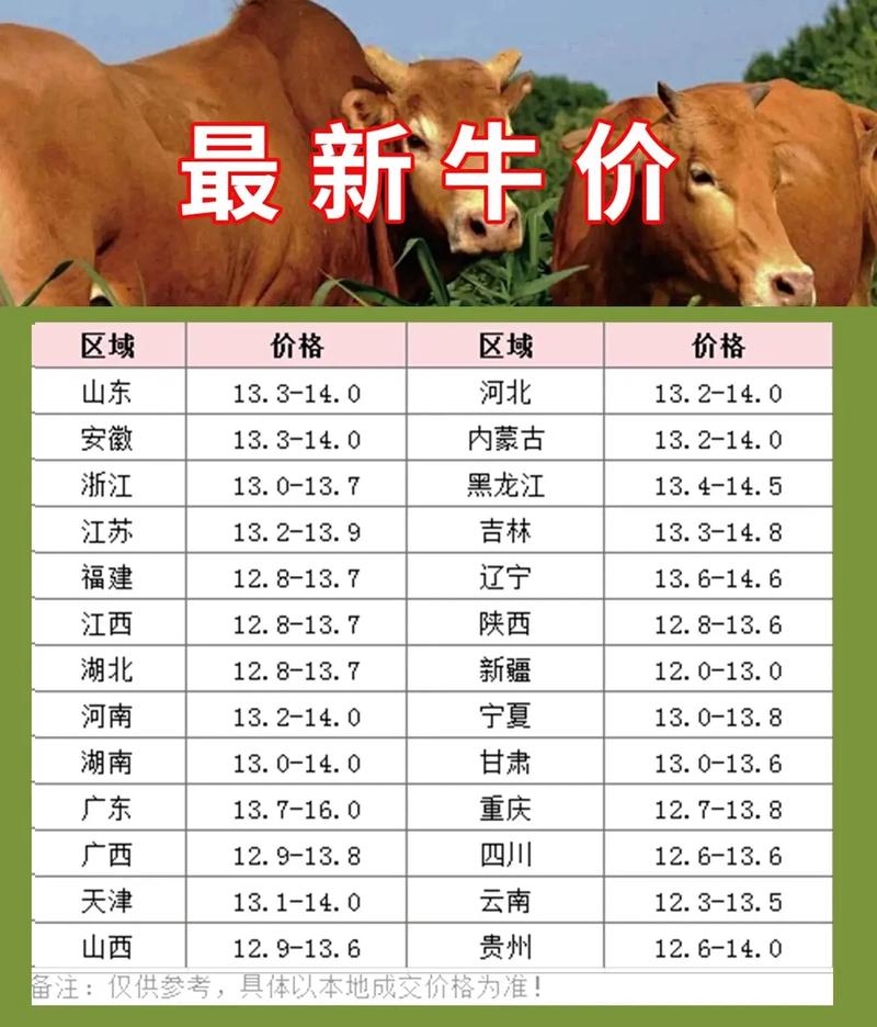 今日山东绵羊价格多少钱一斤？-图2