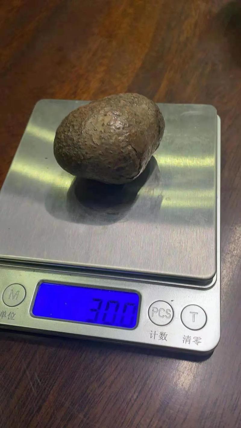 箭猪价格多少好销售吗-图1