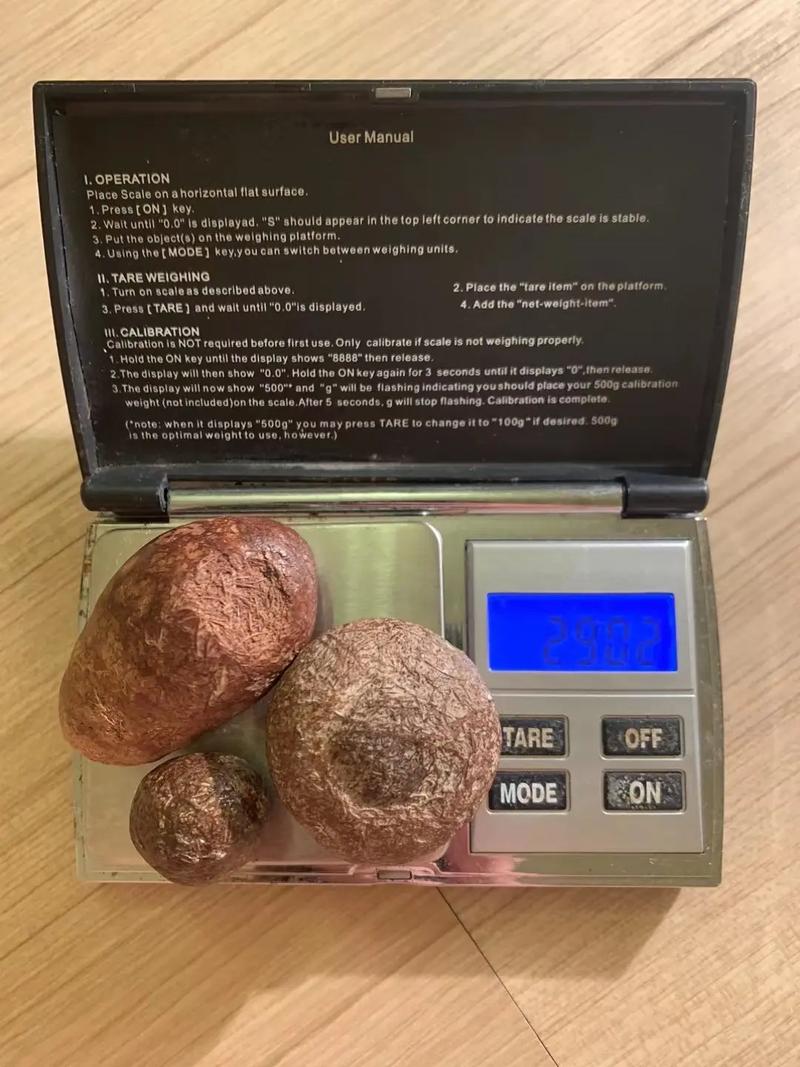 箭猪价格多少好销售吗-图2