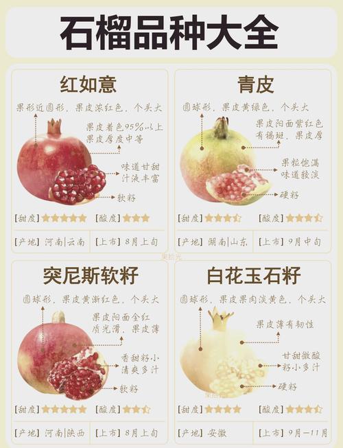 石榴的品种有哪些图片-图1