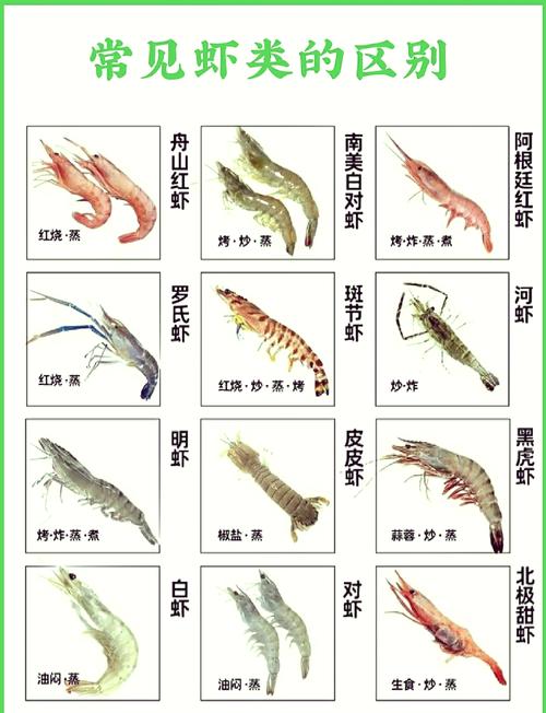 对虾健康养殖技术手册-图2