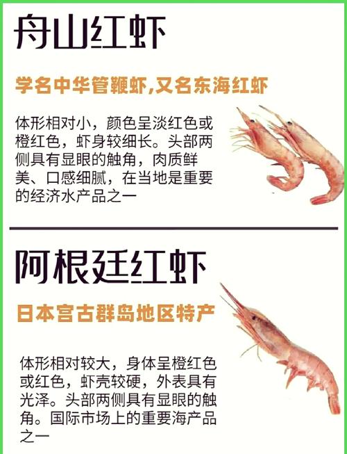 对虾健康养殖技术手册-图3