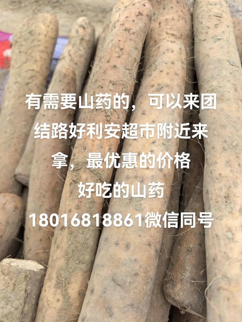 2025河北山药价格会涨还是跌？-图2