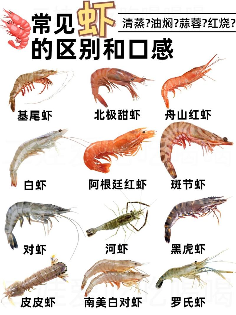 南美白对虾分几个品种-图1