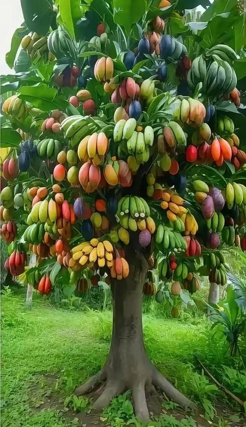 40种水果树品种大全-图2