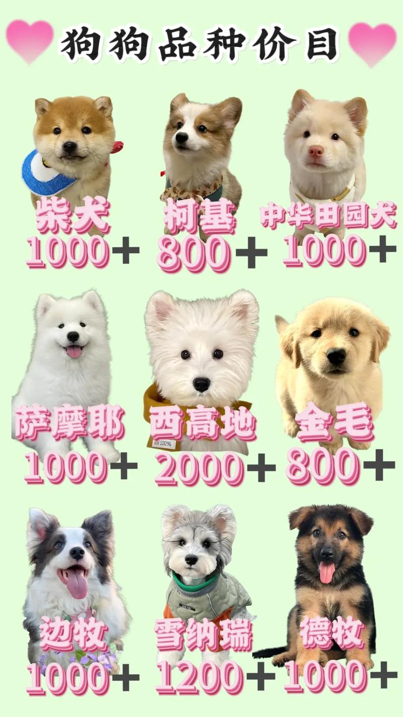 2025年养殖新品种-图2