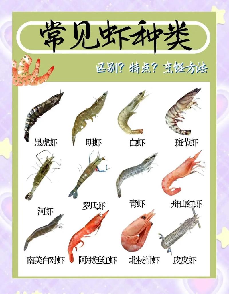 常见淡水虾品种有哪些？附图片识别？-图1