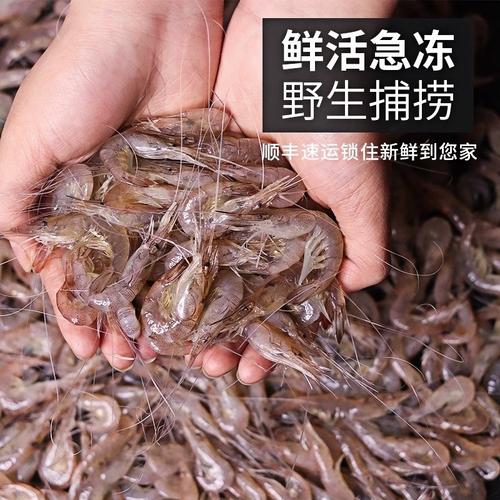 常见淡水虾品种有哪些？附图片识别？-图3