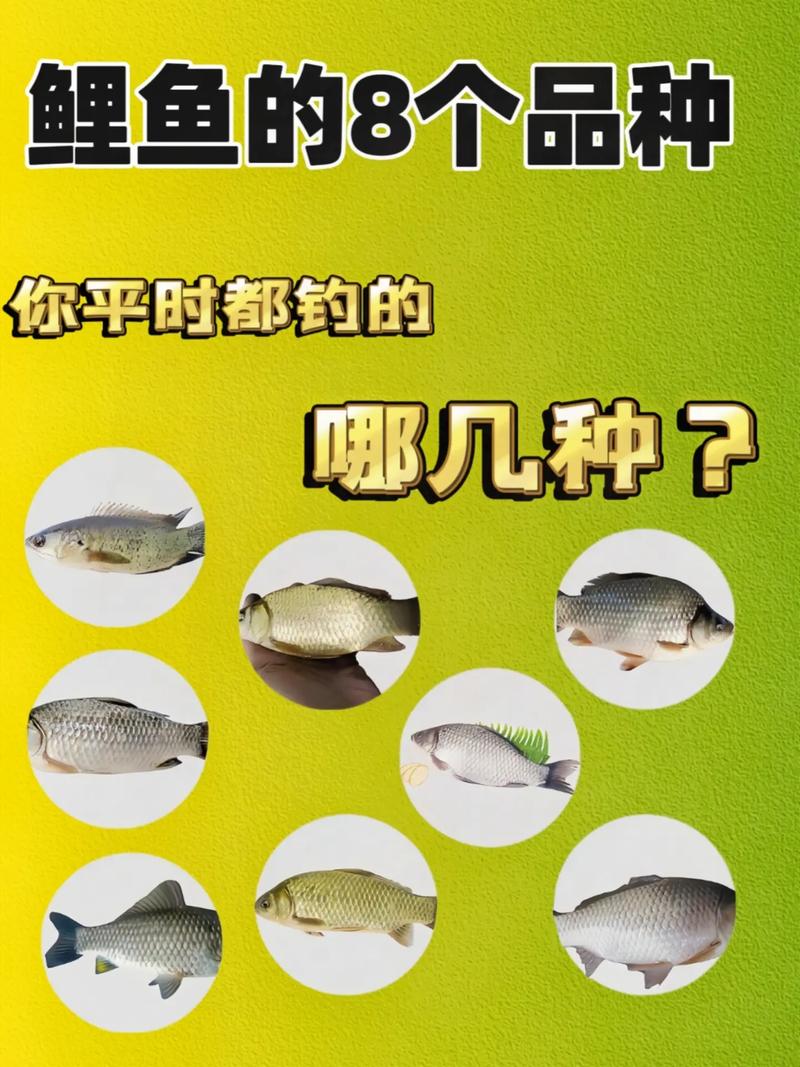 哪些鱼可与鲫鱼混养？-图1