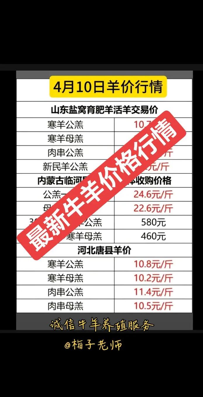 2025羊肉价格会涨还是跌？-图1