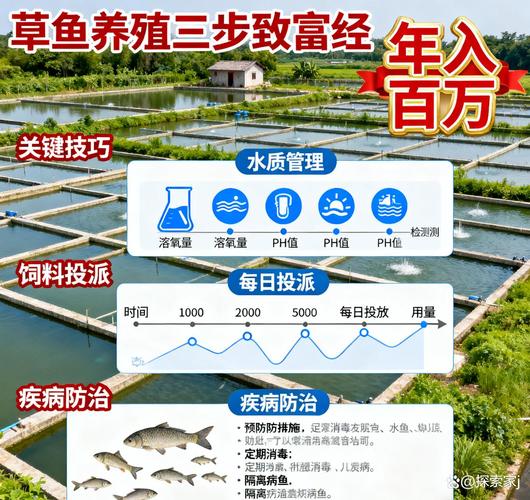 草鱼养殖技术加盟方式-图2