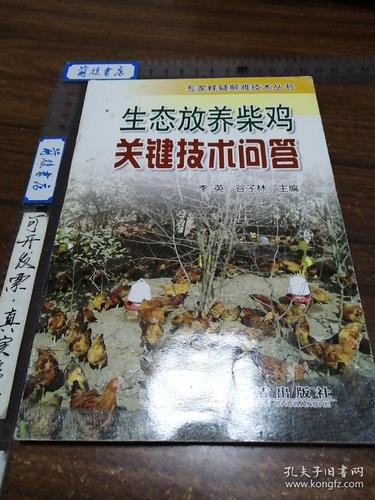 柴鸡放养如何高效综合管理？-图2