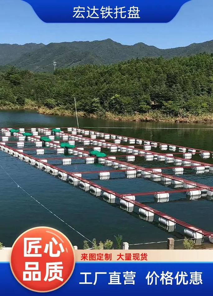 网箱养殖鳝鱼，关键技术有哪些？-图1