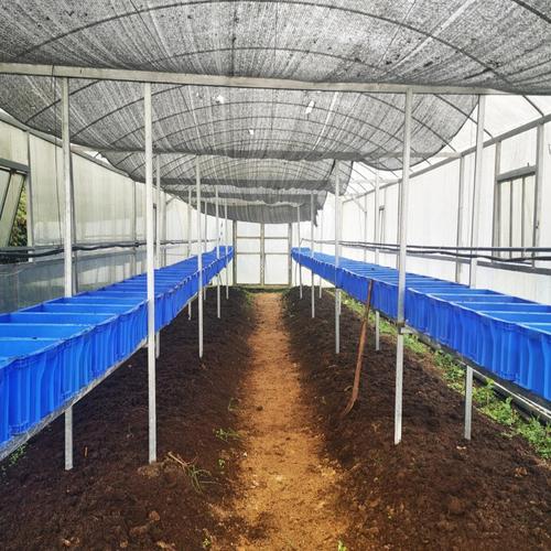 蚯�螂养殖技术有何差异与难点？-图1