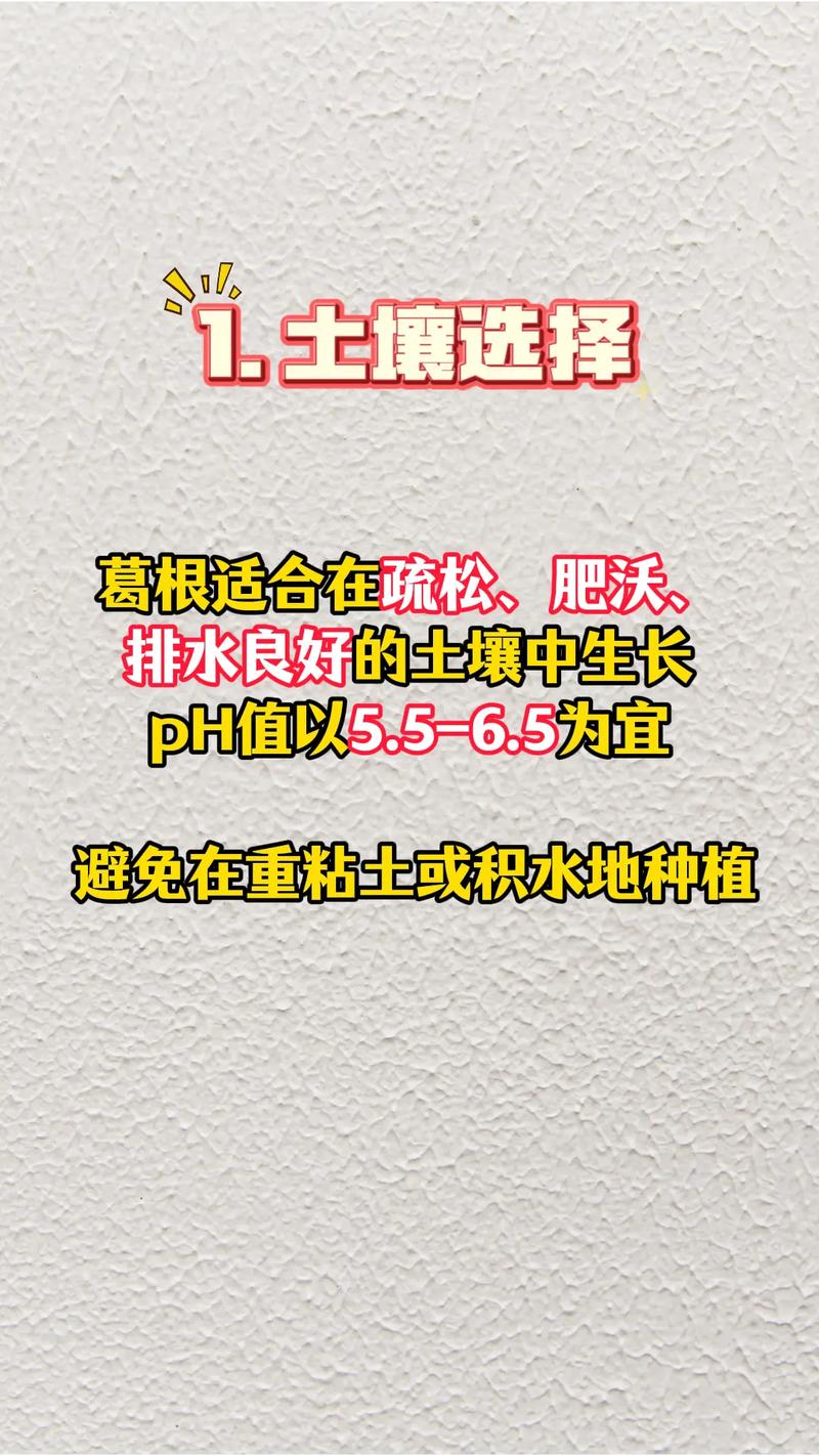 野生葛根湖南种植技术-图1