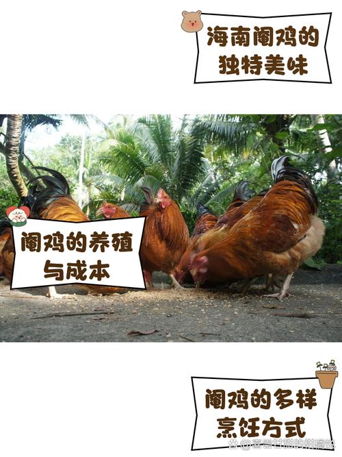 生态养鸡技术如何实现高效种草？-图1