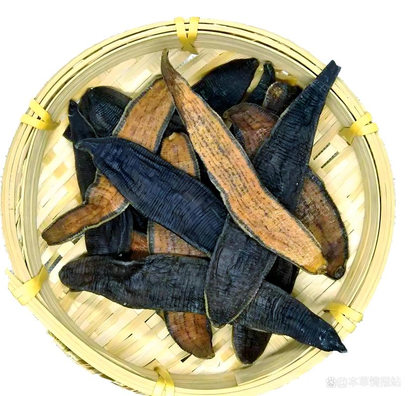 2025年蚂蟥价格会涨还是跌？-图3