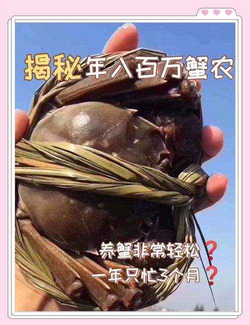 东北螃蟹养殖技术有哪些关键点？-图2