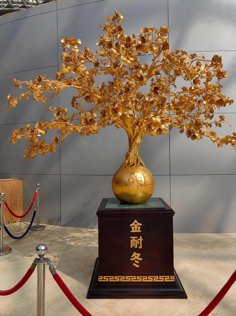 摇钱树图片价格多少？不同品种差异大吗？-图3