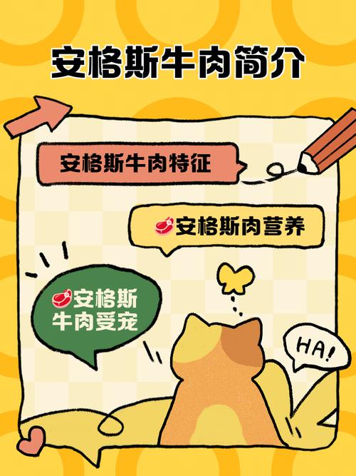 安格斯牛有哪些品种和用途？-图2