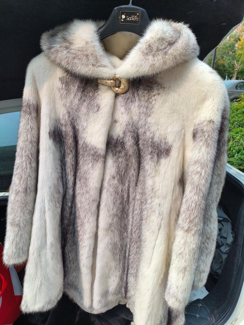 今日貂皮最新行情价格是多少？-图2