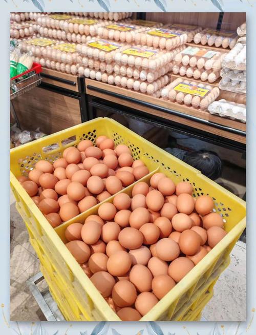 1今日哈尔滨鸡蛋价格-图2