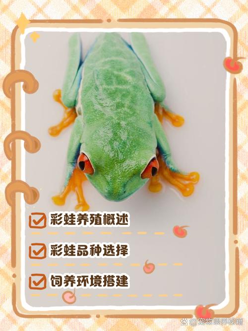 青蛙养殖成本与售价多少？-图2