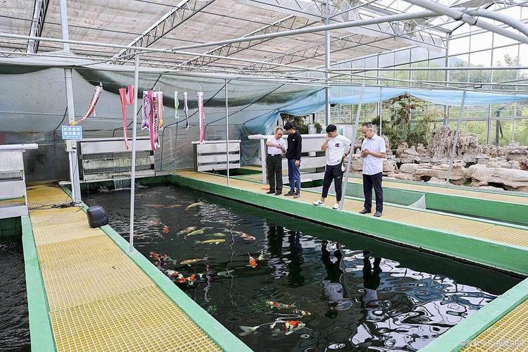 水产养殖选什么品种效益高？-图1