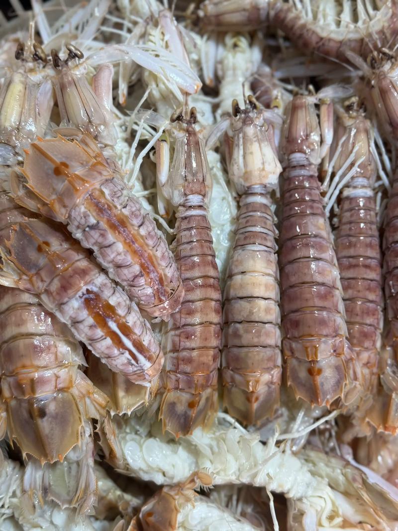2025年虾价会涨还是跌？-图2
