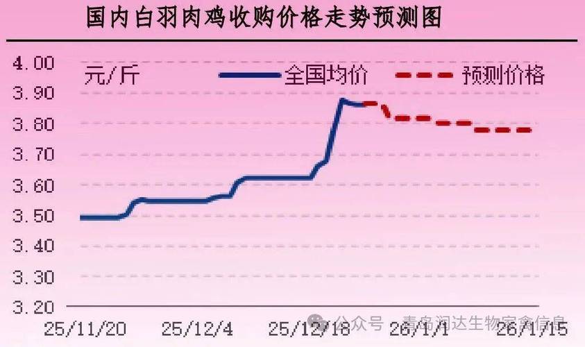 2025土鸡价格会涨还是跌？-图2
