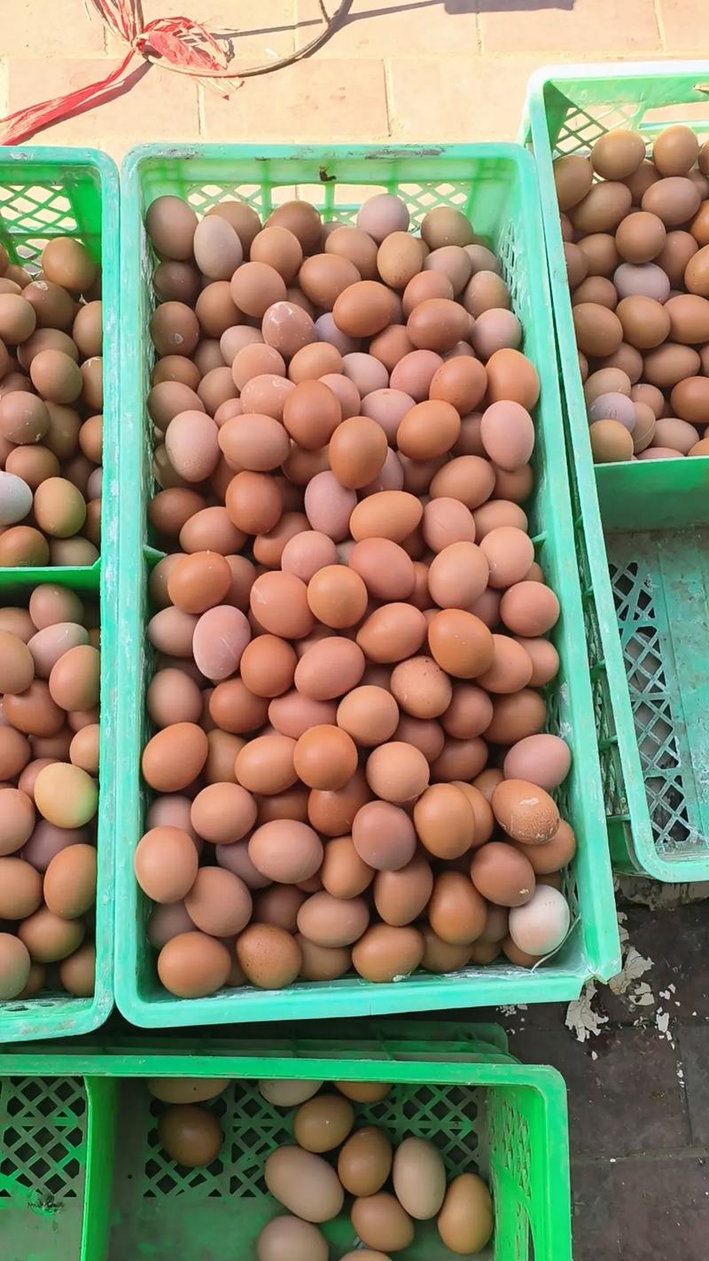 浙江建德鸡蛋价格今日多少钱一斤？-图2