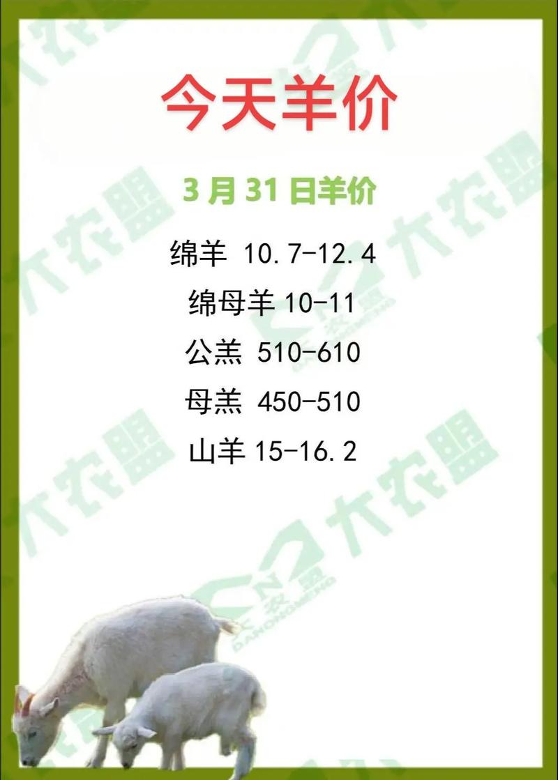 2025新疆活羊价格会涨还是跌？-图2