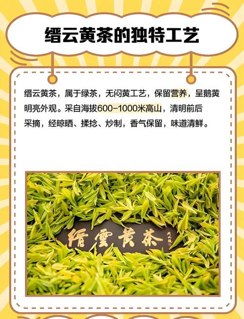 黄茶有哪些常见品种名称？-图2