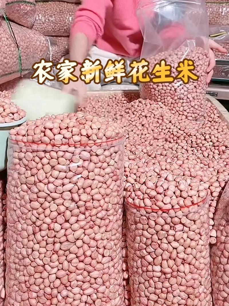 沙地种花生，哪个品种高产？-图2