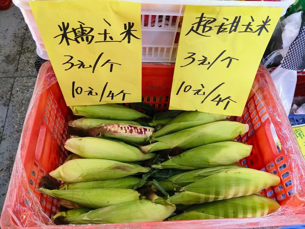 富锦象屿玉米最新价格多少？-图2