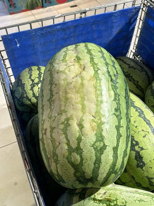 这西瓜品种是什么？-图3